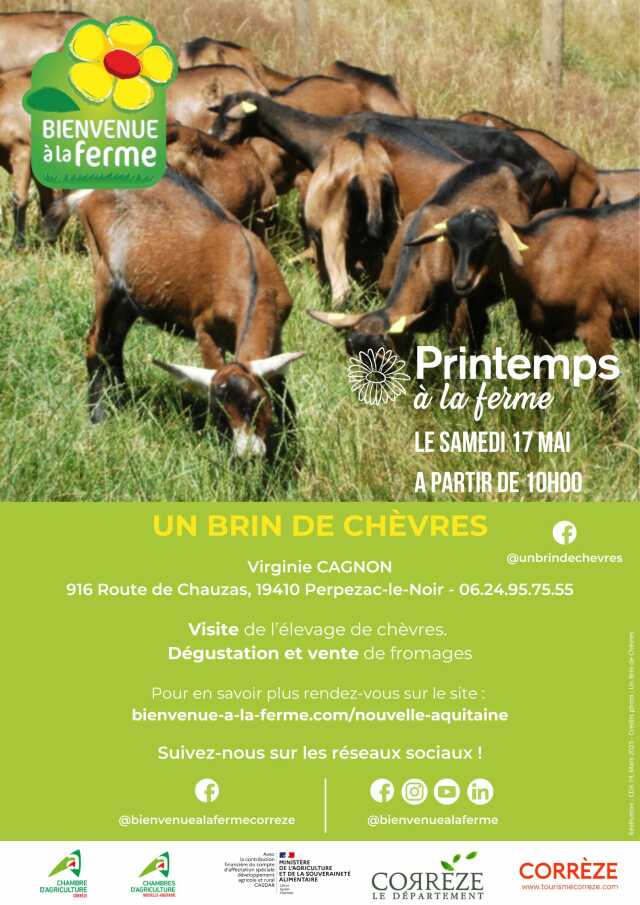 Un brin de chèvres - Printemps à la ferme - BAF