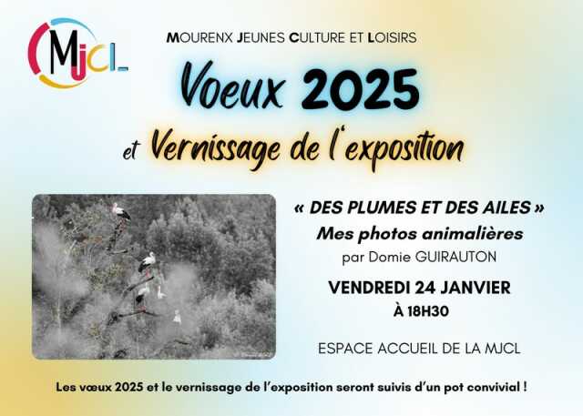 Vernissage exposition : Des plumes et des ailes