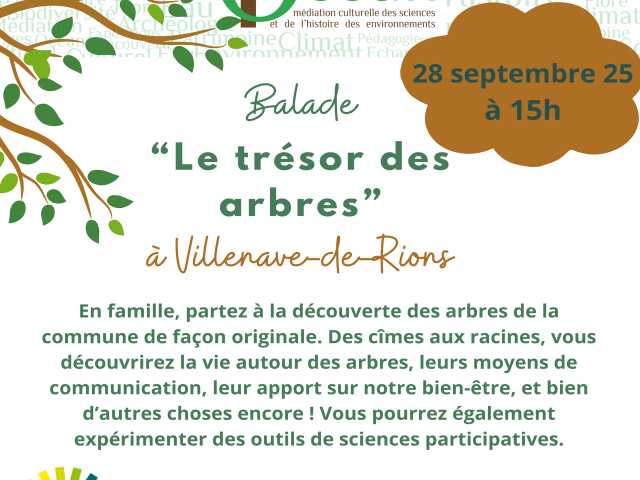 Balade « Le trésor des arbres »