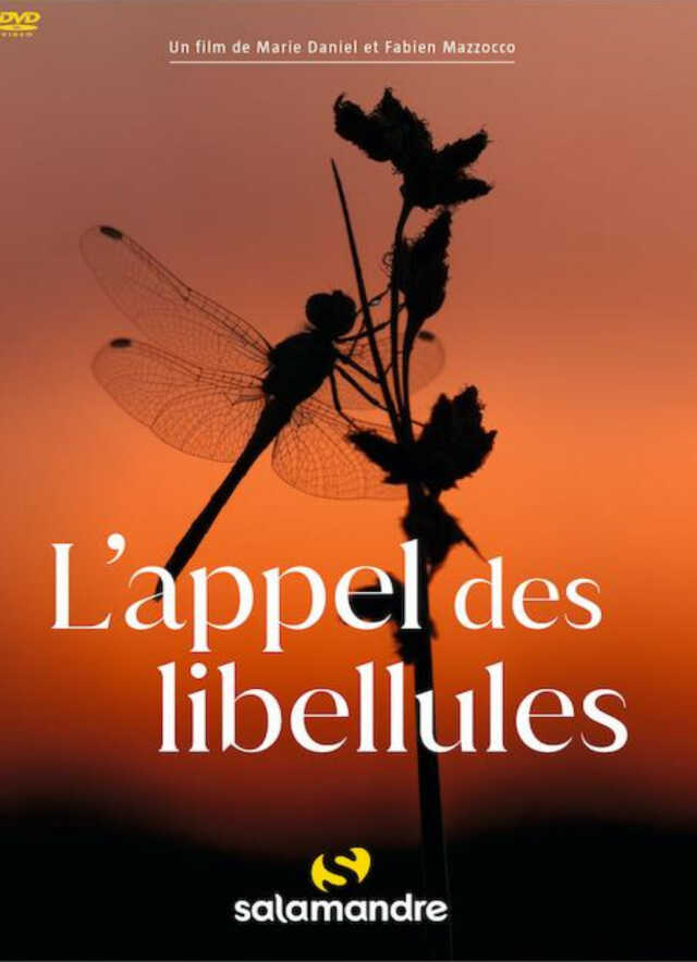 Ciné conférence : L'appel des libellules