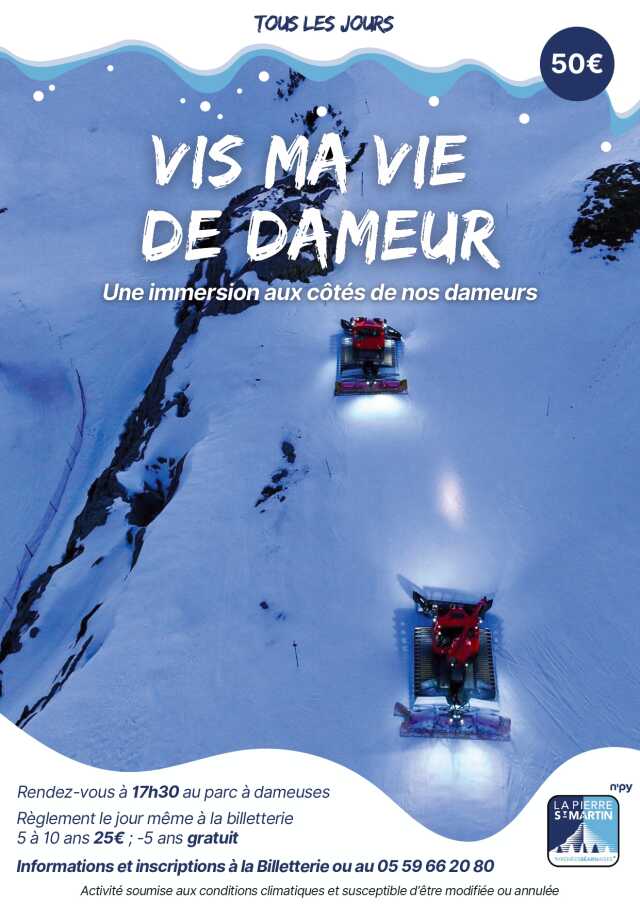 Vis ma vie de dameur