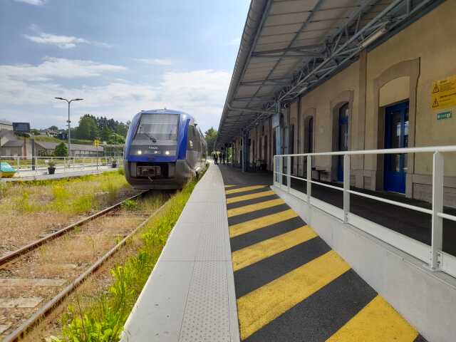 L'archi en train