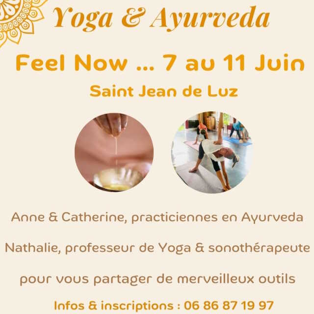 Yoga & Ayurveda : Feel now...