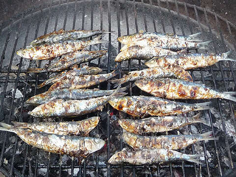 Sardinade du quartier Mestade