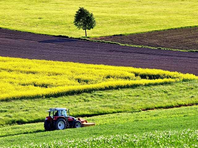 Ciné-débat : La part des autres, l'accès de tous à une alimentation de qualité et durable