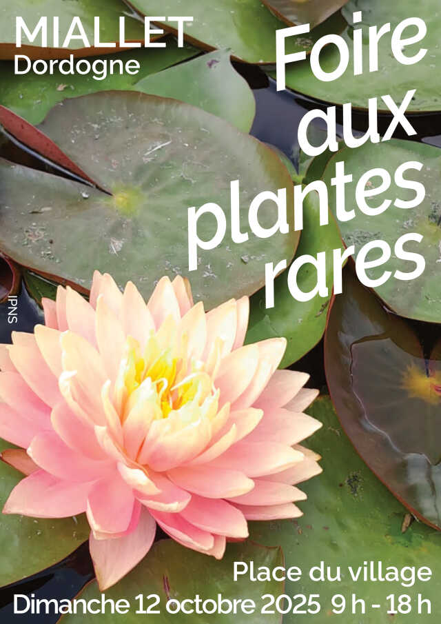 Foire aux plantes rares