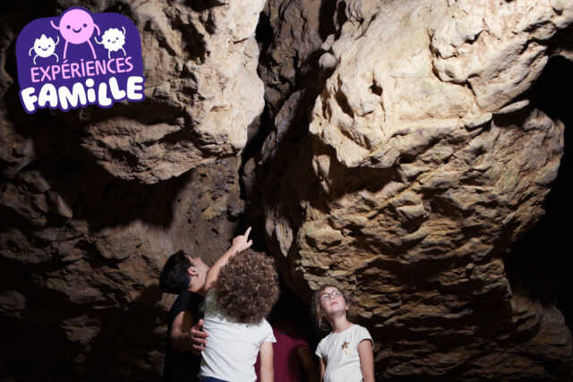 Animation Préhisto'famille 
