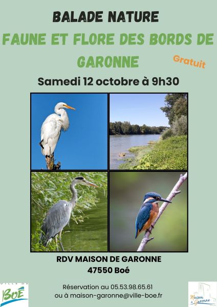 Balade nature à la découverte des bords de Garonne et sur l'observation des oiseaux