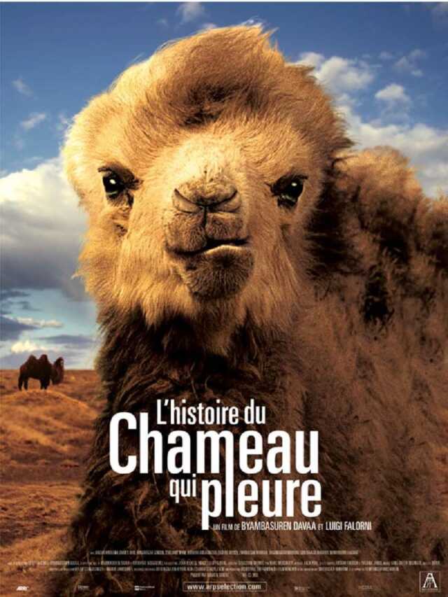 L'Histoire du Chameau qui pleure