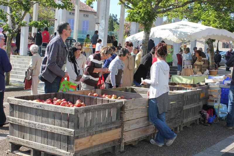 Marché de Cerizay