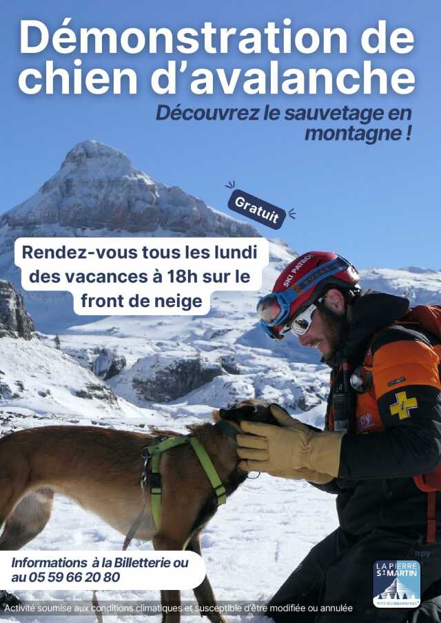 Démonstration de recherche avec un chien d’avalanche