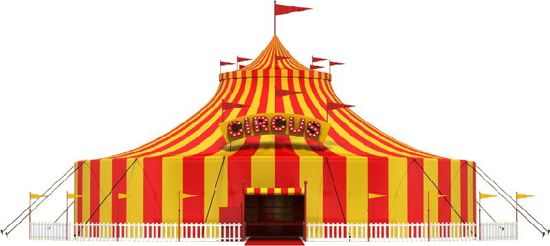 Sortie au cirque Arlette Gruss