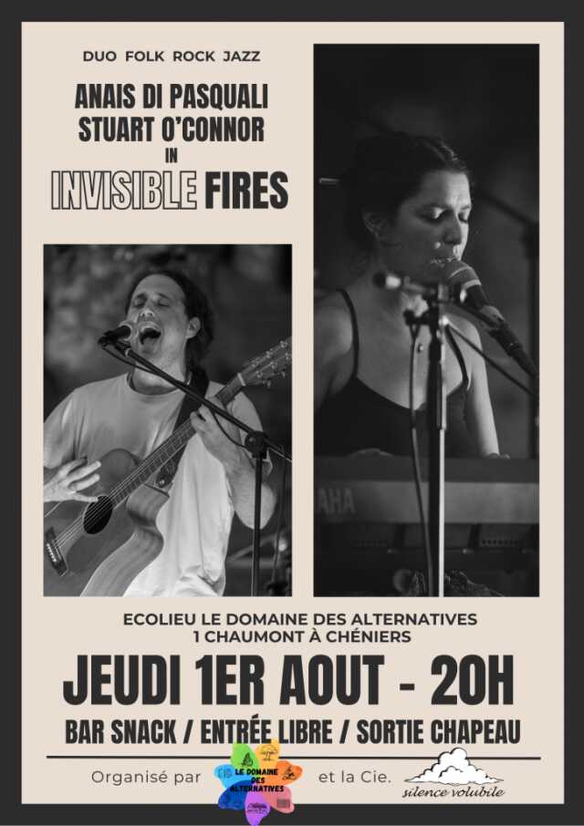 Concert du duo Invisible fires