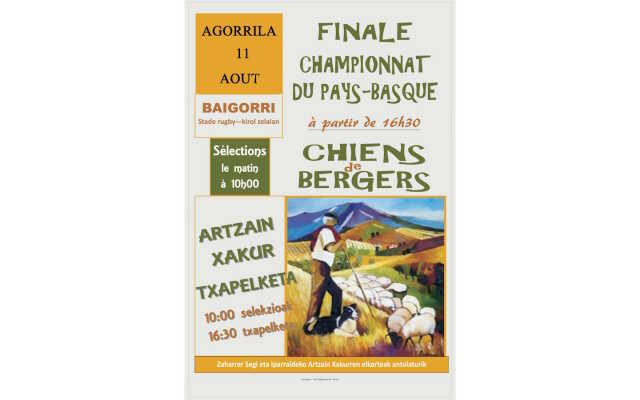 Concours de chiens de berger