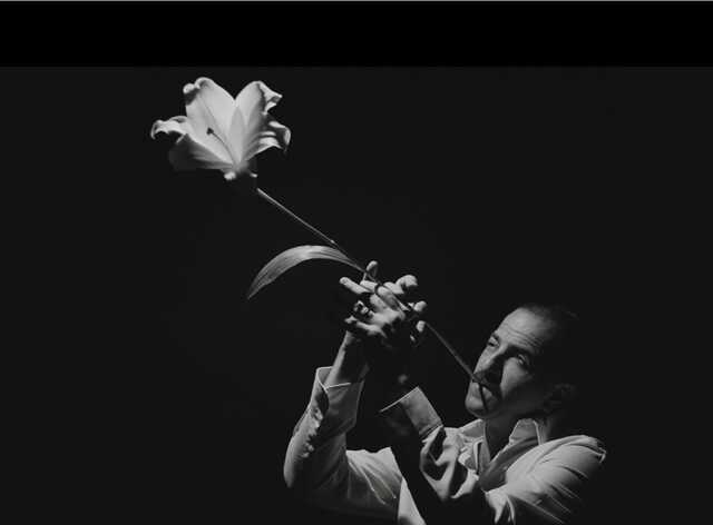 Avishan Cohen