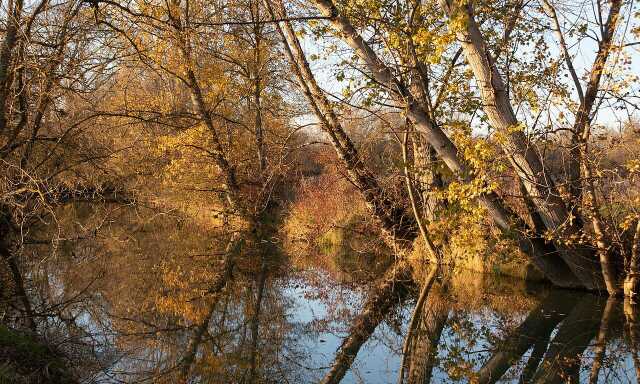 Exposition : Quel avenir pour l'eau de nos rivières ?