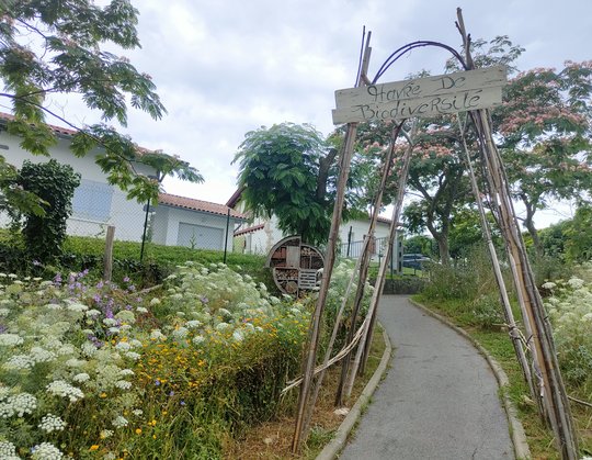 Semaine Klima - ATELIER “Augmenter la biodiversité chez soi” avec l’association Bio Divers Cité