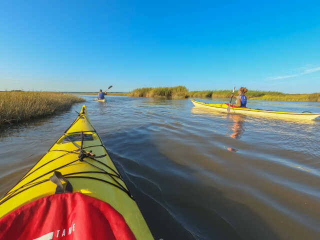 Sortie en kayak de mer - Découverte du delta de l'Eyre et du Bassin d'Arcachon