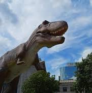 Exposition à la médiathèque / Dinosaures le règne des géants