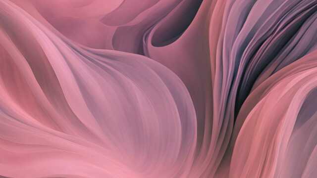 Objectif Rose - Exposition 2025 - Limoges