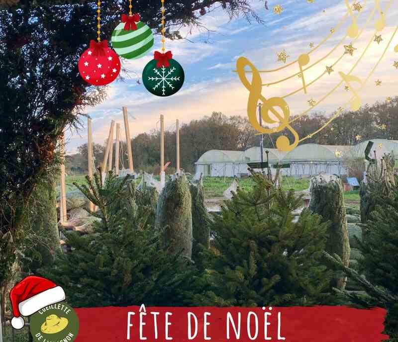 Marché de Noël, à la Cueillette de l'Aragnon