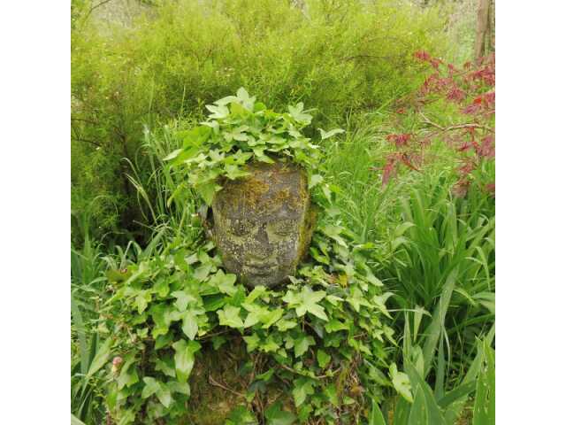 Visite des Jardins de la Falaise