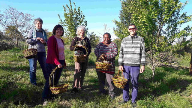 Panier sur arceaux