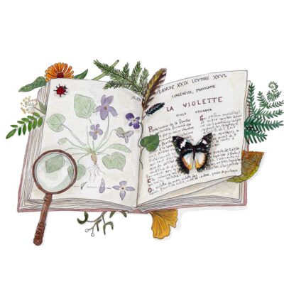 Atelier : Dessinez votre carte postale avec Alice Fauconnier