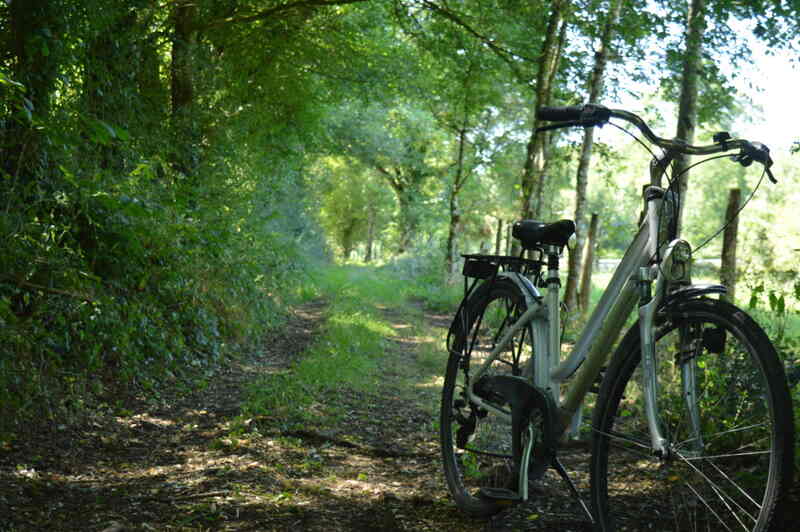 L'échappée poitevine - aventure en vélo sur 3 jours