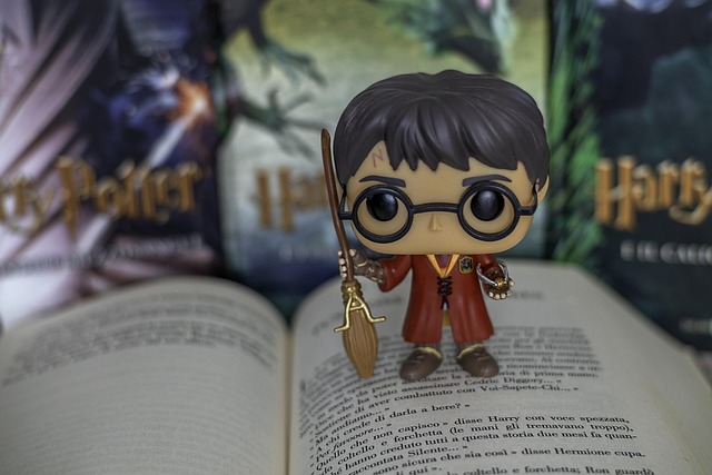 Soirée Harry Potter