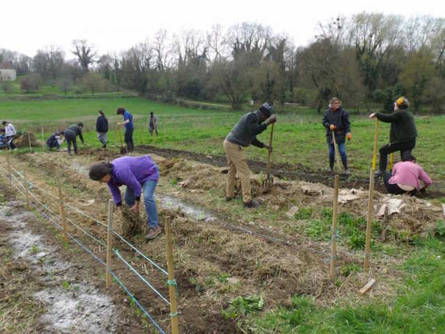 Les Ateliers de la Simplicité : Plan du jardin 2024-2025