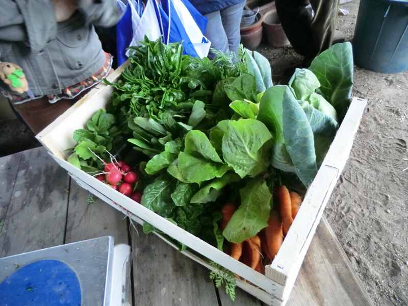 Le Marché de producteurs de Chenaud