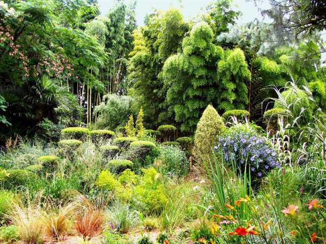 Rendez-vous aux jardins | Découverte d'un jardin botanique de bambous