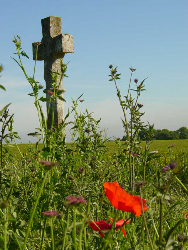 Parcours libre du Chemin de croix, dans le cadre des Journées Européennes du Patrimoine