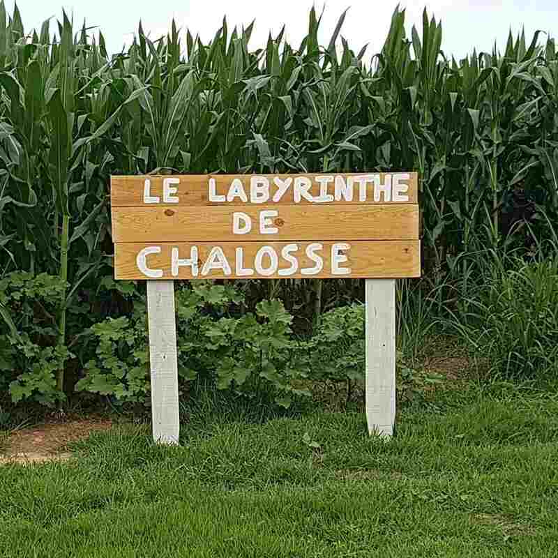 Nocturne au labyrinthe de Chalosse