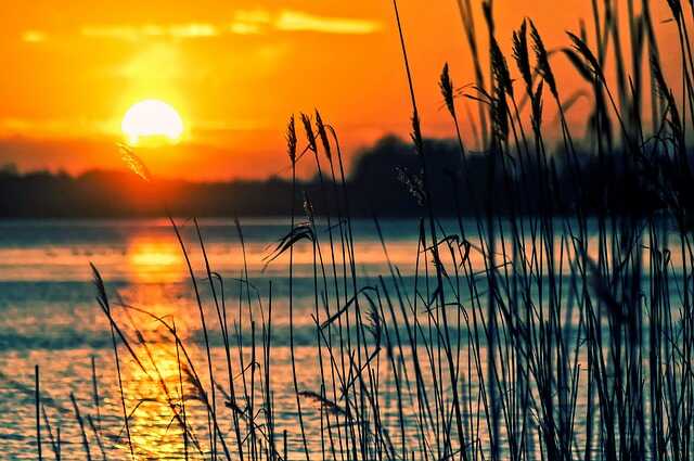 VIDE GRENIER DU LAC