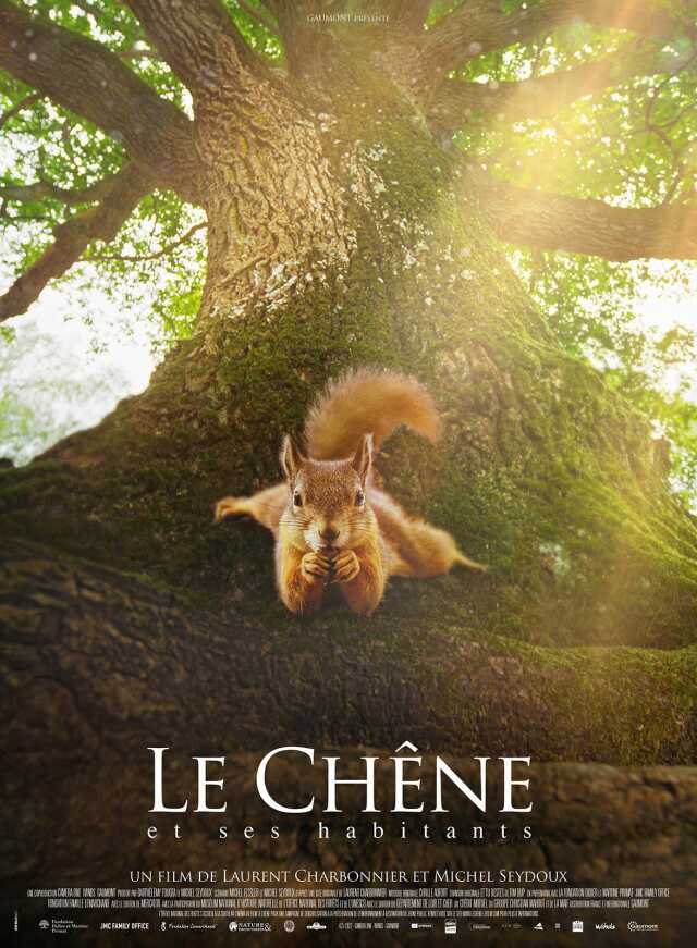 CINEMA : Le chêne