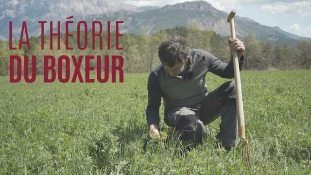 Les Zigolos: Cinéma: projection du film documentaire la théorie du boxeur