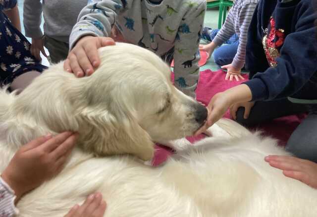Médiation canine pour les enfants DYS ou en difficulté d'apprentissage de la lecture