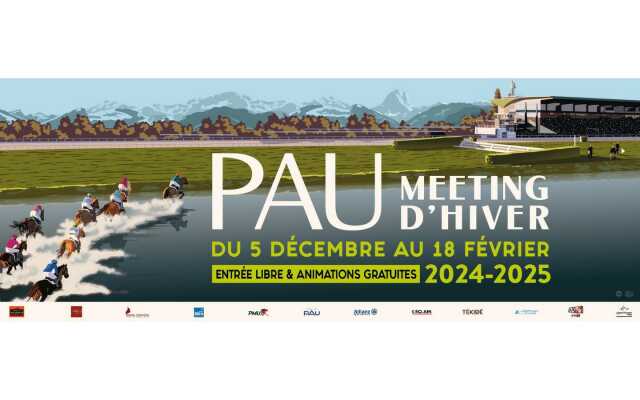 Course Hippodrome de Pau - Meeting d'Hiver