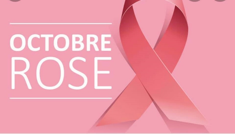 Vente de cyclamens au profit d'Octobre Rose