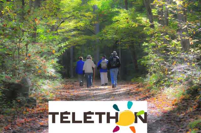 Je marche pour le Téléthon