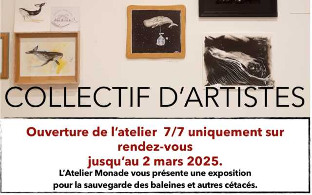 Exposition Les Baleines