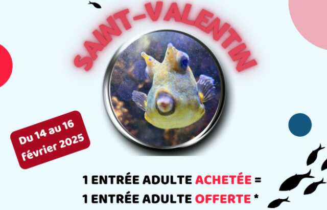 La Saint-Valentin de l'Aquarium - Limoges