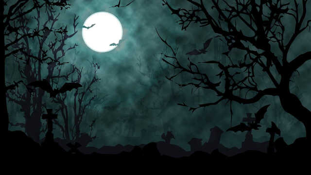 Les secrets de ces mystérieuses chauve-souris