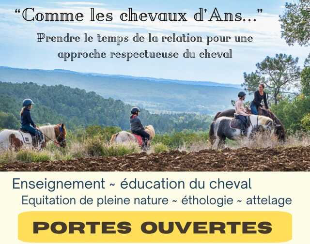 Comme les chevaux d'Ans - portes ouvertes