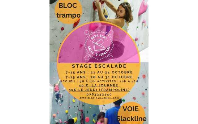 Stage vacances automne Escalade