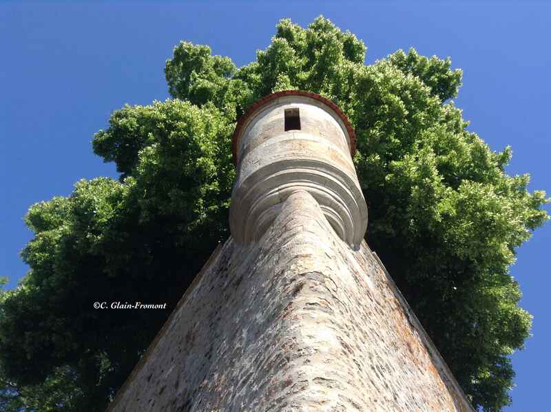 Avallon, cité méconnue aux portes du Morvan