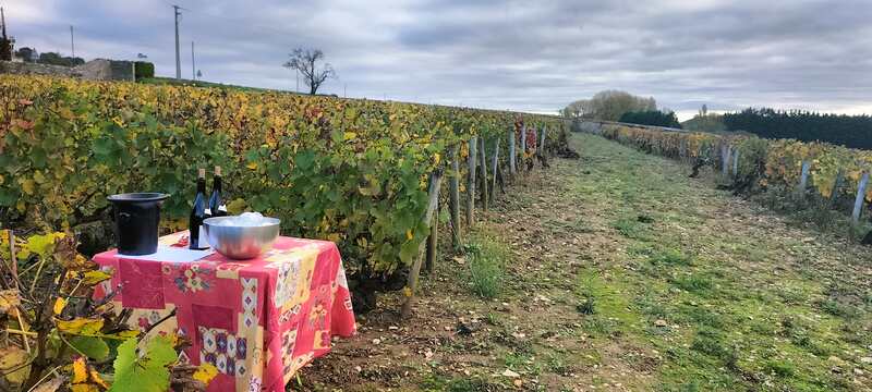 Mission vigneron :  l'âme d'un terroir, le défi entre vos mains