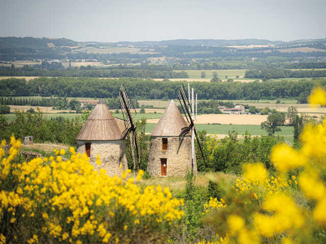 JEP 2025 - MAS-SAINTES-PUELLES